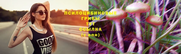 марихуана Белокуриха