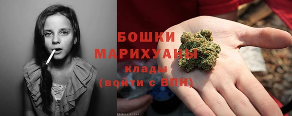 гидра Белоозёрский