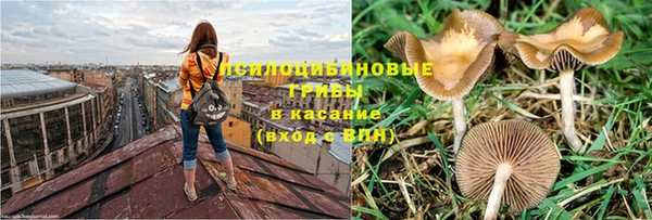 гидра Белоозёрский