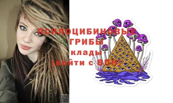марихуана Белокуриха