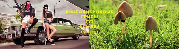 гидра Белоозёрский