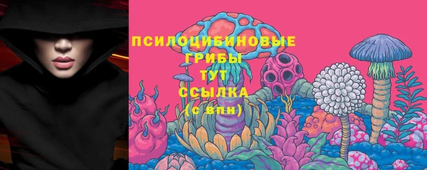 гидра Белоозёрский