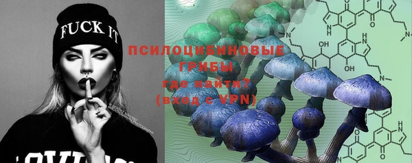 марихуана Белокуриха