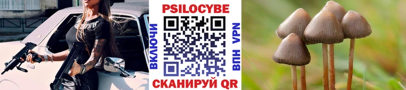 KRAKEN зеркало  Горно-Алтайск  Псилоцибиновые грибы мухоморы 